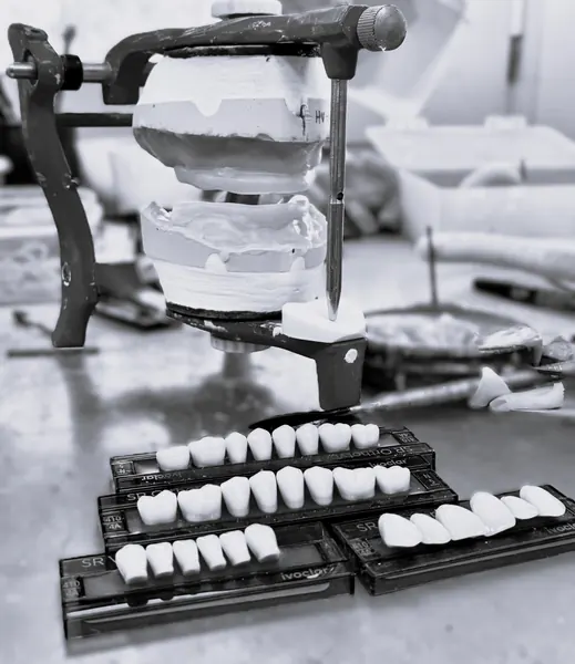 Articulateur et travail au laboratoire